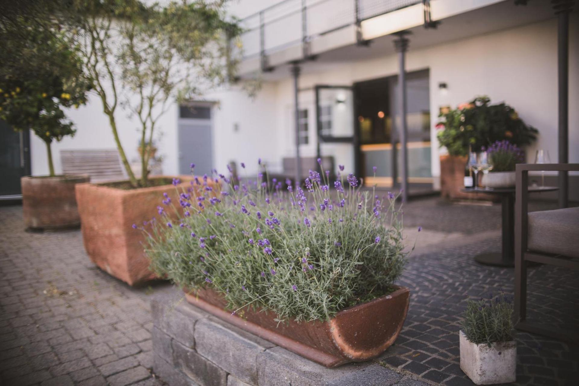 Weingut Gehlen-Cornelius Hotel Браунеберг Екстериор снимка
