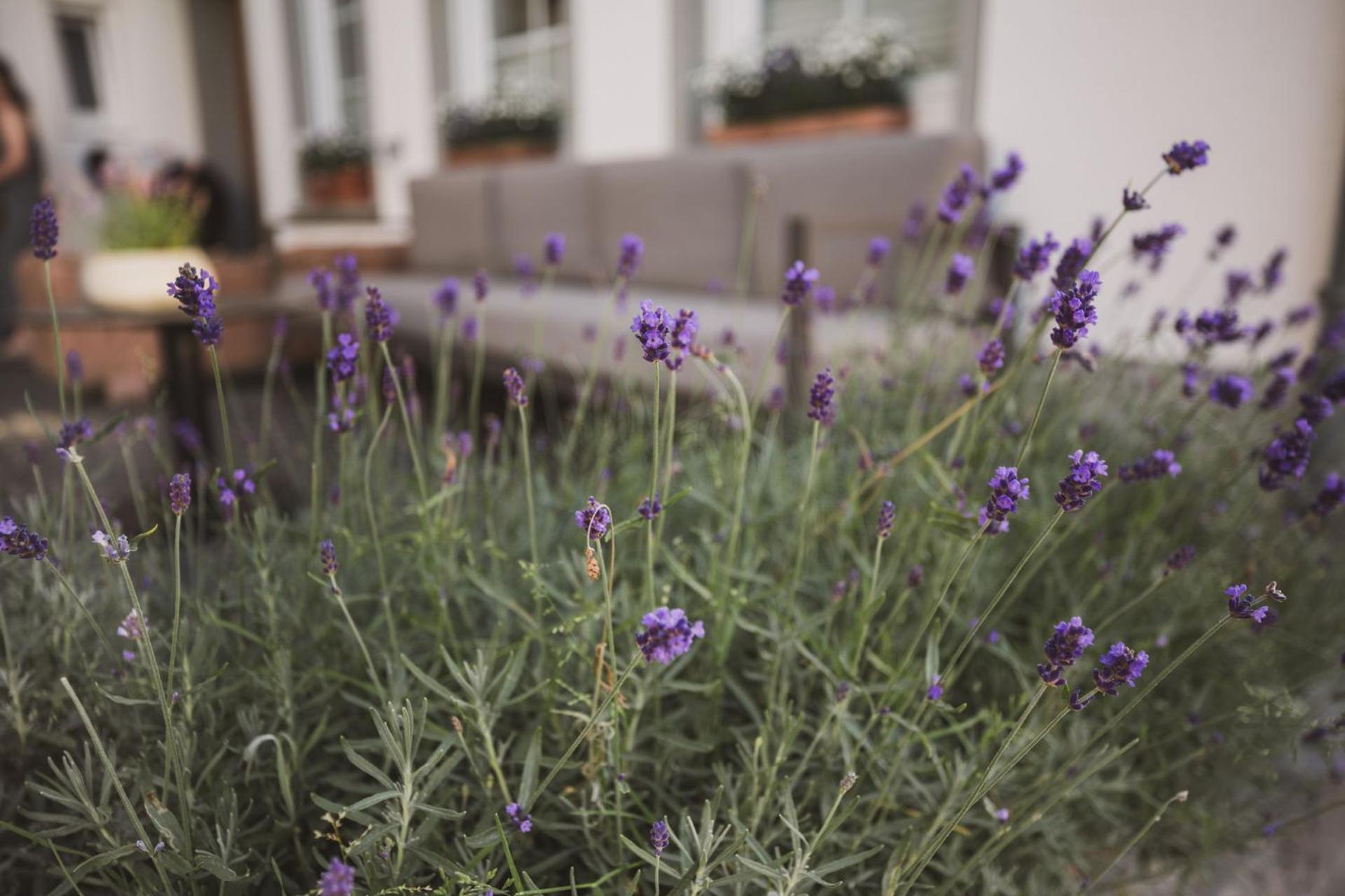 Weingut Gehlen-Cornelius Hotel Браунеберг Екстериор снимка